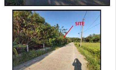 Agricultural Lot for Sale in Bustos Bulacan
