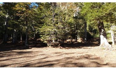 Parque ecológico residencial 109,5 ha en Melipeuco