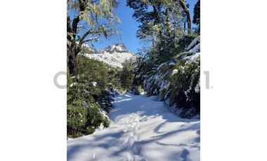 Parque ecológico residencial 109,5 ha en Melipeuco