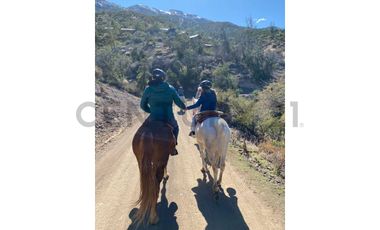 Parque ecológico residencial 109,5 ha en Melipeuco