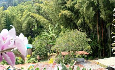 Finca en venta en Cali. Cod V20368