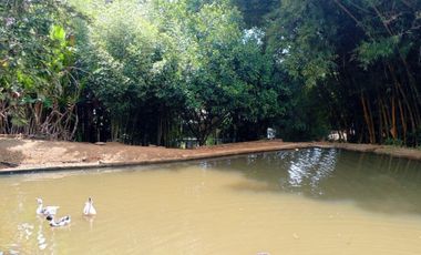 Finca en venta en Cali. Cod V20368