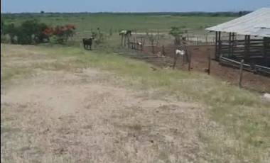 Terreno en venta Vía a la Costa