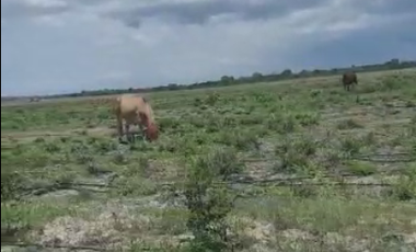 Terreno en venta Vía a la Costa