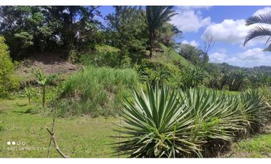 EL VALLE | MATA AHOGADO | SE VENDE | TERRENO | 2,500 | NEG