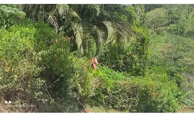 EL VALLE | MATA AHOGADO | SE VENDE | TERRENO | 2,500 | NEG