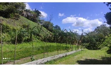 EL VALLE | MATA AHOGADO | SE VENDE | TERRENO | 2,500 | NEG