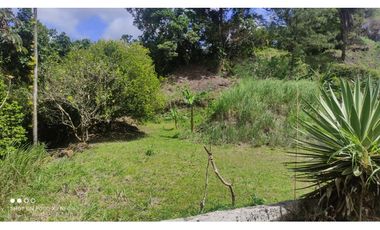 EL VALLE | MATA AHOGADO | SE VENDE | TERRENO | 2,500 | NEG