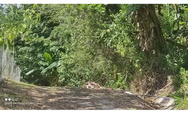 EL VALLE | MATA AHOGADO | SE VENDE | TERRENO | 2,500 | NEG