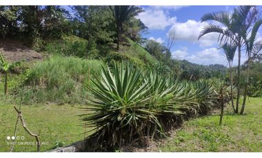 EL VALLE | MATA AHOGADO | SE VENDE | TERRENO | 2,500 | NEG