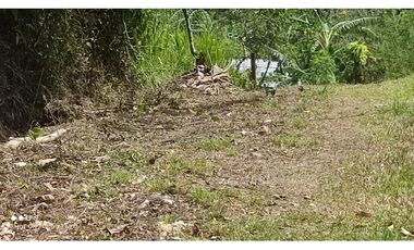 EL VALLE | MATA AHOGADO | SE VENDE | TERRENO | 2,500 | NEG