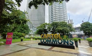 2 BR Condo at Capitol Commons