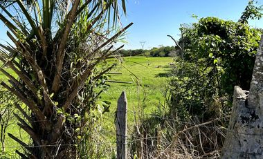 TERRENO UBICADO CERCA DE VILLAHERMOSA TABASCO