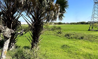 TERRENO UBICADO CERCA DE VILLAHERMOSA TABASCO