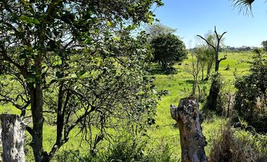 TERRENO UBICADO CERCA DE VILLAHERMOSA TABASCO