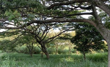 lote en venta en parcelación campestre laguna seca. Cod V107408