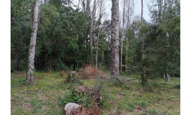 TERRENOS URBANOS DE 5000M2 KM 1,4 CAMINO AL VOLCÁN