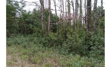 TERRENOS URBANOS DE 5000M2 KM 1,4 CAMINO AL VOLCÁN