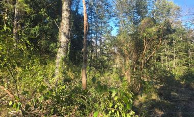 TERRENOS URBANOS DE 5000M2 KM 1,4 CAMINO AL VOLCÁN