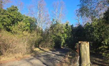 TERRENOS URBANOS DE 5000M2 KM 1,4 CAMINO AL VOLCÁN