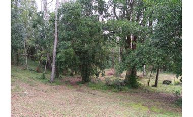 TERRENOS URBANOS DE 5000M2 KM 1,4 CAMINO AL VOLCÁN