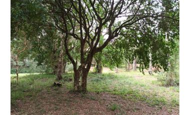 TERRENOS URBANOS DE 5000M2 KM 1,4 CAMINO AL VOLCÁN