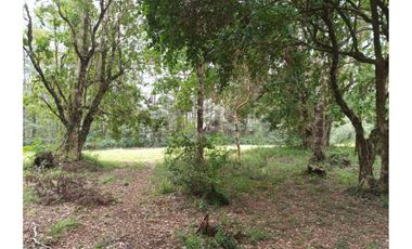 TERRENOS URBANOS DE 5000M2 KM 1,4 CAMINO AL VOLCÁN