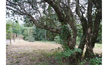 TERRENOS URBANOS DE 5000M2 KM 1,4 CAMINO AL VOLCÁN