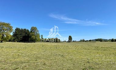 Agrícola en Venta en COD35266 Lautaro Sector Peu Peu - Camino Ruta S-155 KM 6.1