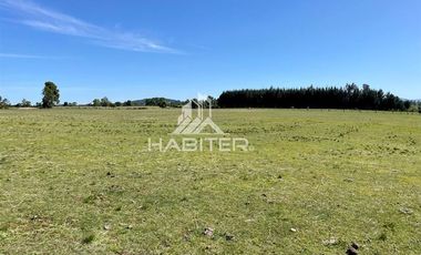 Agrícola en Venta en COD35266 Lautaro Sector Peu Peu - Camino Ruta S-155 KM 6.1