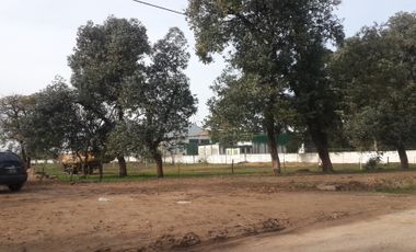 OFICINAS A ESTRENAR DE 200M2