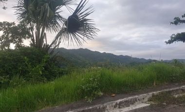 Overlooking 216 Sqm Lot for Sale in Greenwoods near Talamban Cebu City with Mountain View