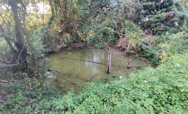 Land for sale in Rong Wua Daeng, Chiang Mai