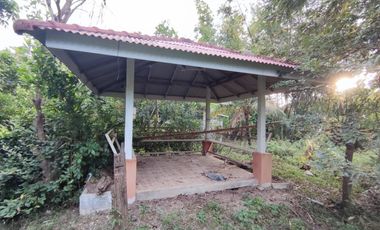 Land for sale in Rong Wua Daeng, Chiang Mai