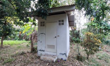 Land for sale in Rong Wua Daeng, Chiang Mai