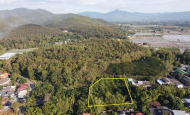 Land for sale in Rong Wua Daeng, Chiang Mai