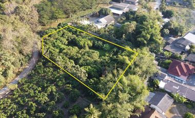 Land for sale in Rong Wua Daeng, Chiang Mai