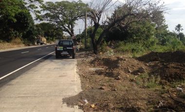 Titled Commercial / Residential Lot for sale Caba, La Union (SOLD)