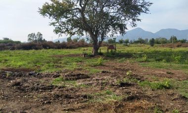 Terreno oportunidad de negocio ahualulco