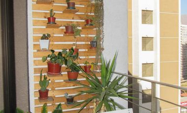 Departamento Metro Mirador ID: 45593r