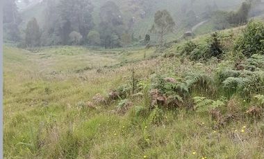 finca en venta en granada. Cod V3958