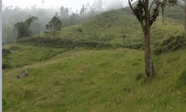 finca en venta en granada. Cod V3958