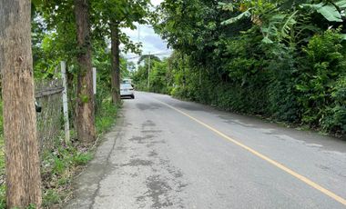 Land for sale in Nong Chom, Chiang Mai