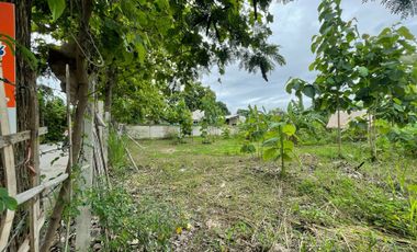 Land for sale in Nong Chom, Chiang Mai