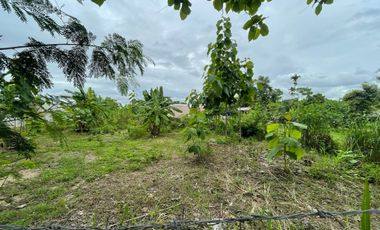 Land for sale in Nong Chom, Chiang Mai