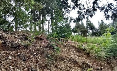 Sitio en venta en Vichuquén
