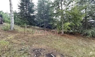 Sitio en venta en Vichuquén
