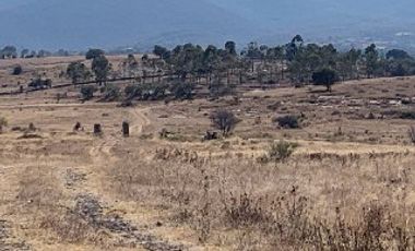 Aculco 140H Terreno en VENTA