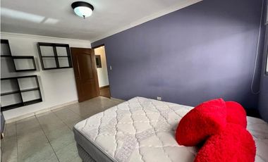 ALQUILO  APARTAMENTO  SAN FRANCISCO  SANTA EMILLION CV