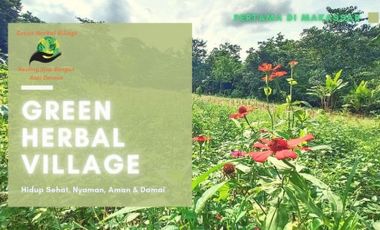 Kavling Tanah Kampung Herbal Dekat Batalyon Zein Tempur View Bukit Cantik